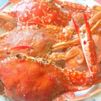 Snapdishの料理写真:Steamed Crab|tinkerbelleさん