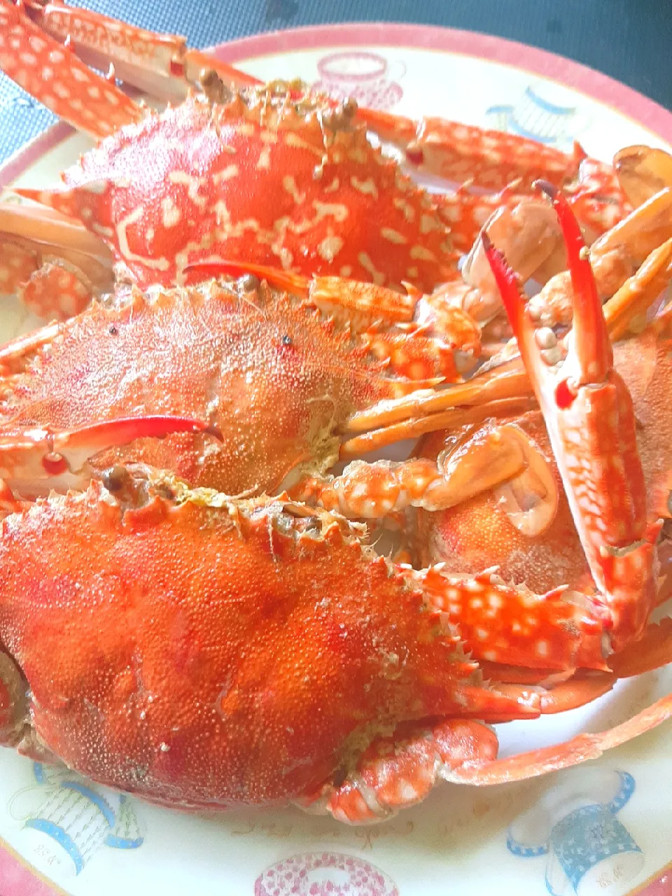 Steamed Crab|tinkerbelleさん