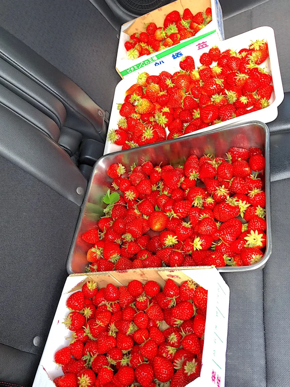 いちご|yumiさん