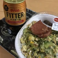 ゴーヤチャンプルー弁当とFITTER|やんもぐさん