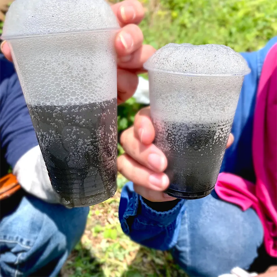 手作り発酵コーラで乾杯|美味飯さん