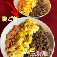 Snapdishの料理写真:３色丼|chi-koさん