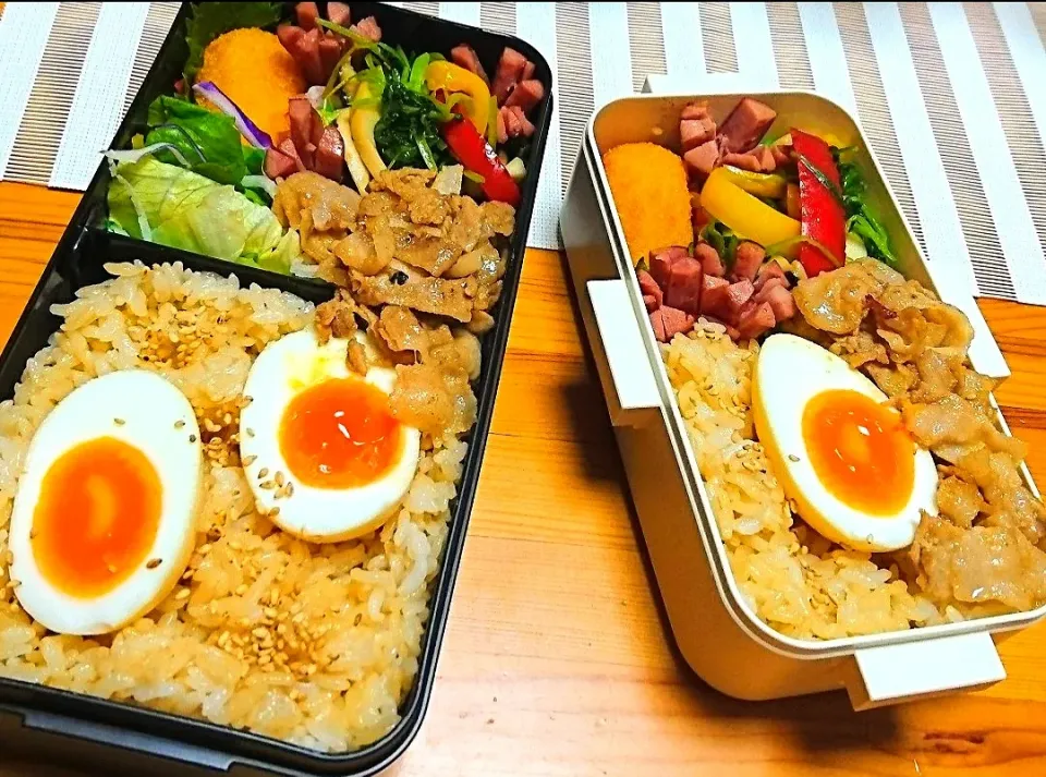 Snapdishの料理写真:煮卵弁当|mooさん