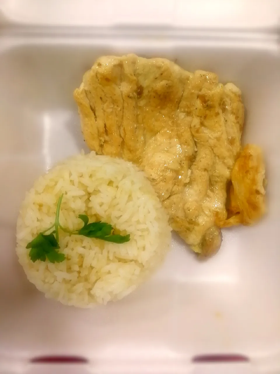 Filete de pollo|Damianさん