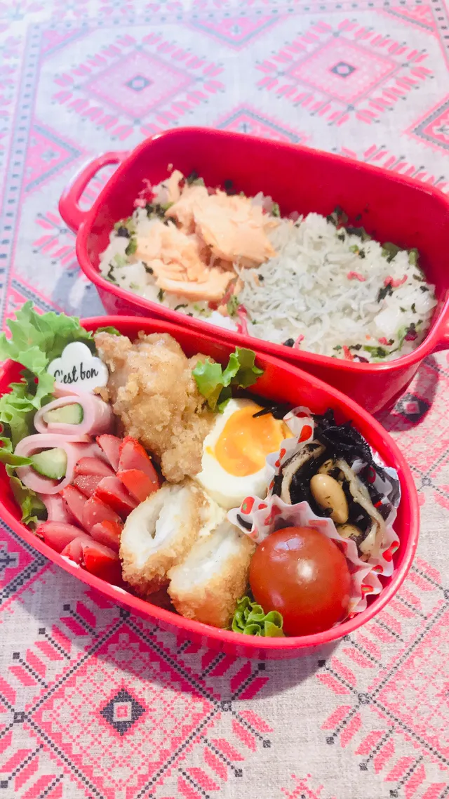 🔸私の仕事弁当・ちりめんとシャケのっけ弁当🔸|🌼はなちゃん🌼さん