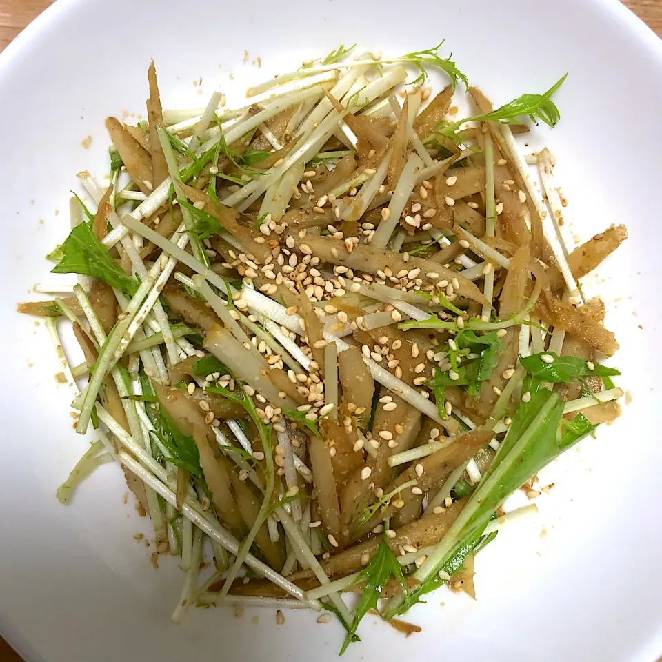 ごぼうと水菜の胡麻酢サラダ|ニワトコの杖さん