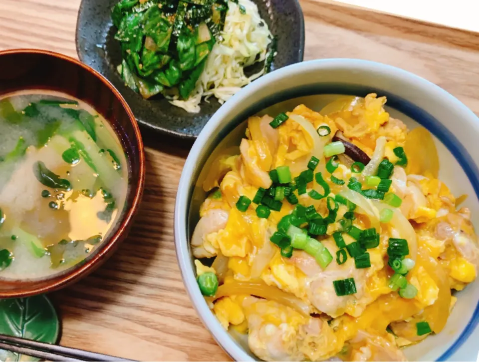 オットの昼食記録　親子丼|はなさん