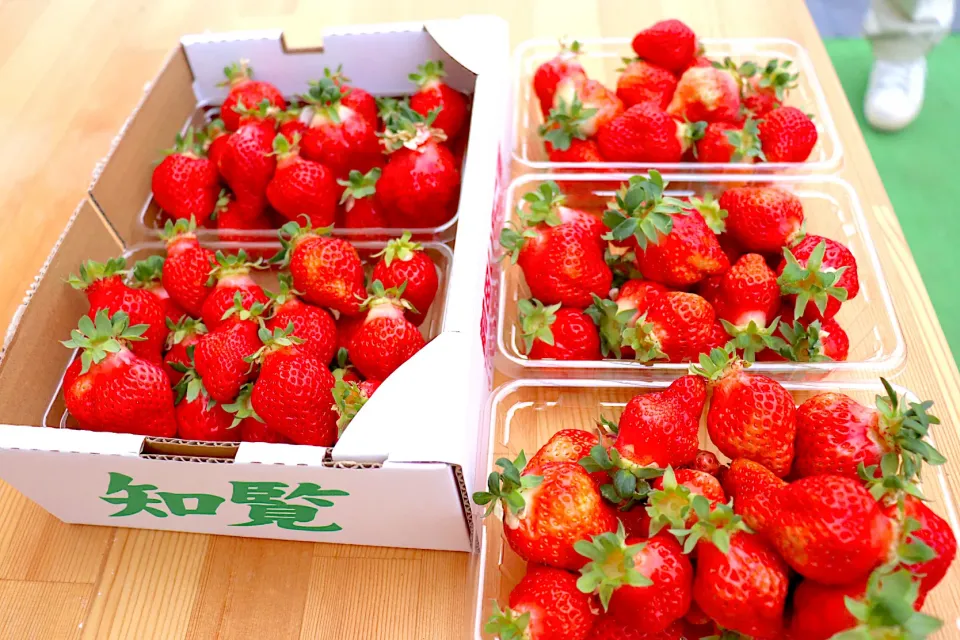 I’ll be making a strawberry salad.|Kianaさん