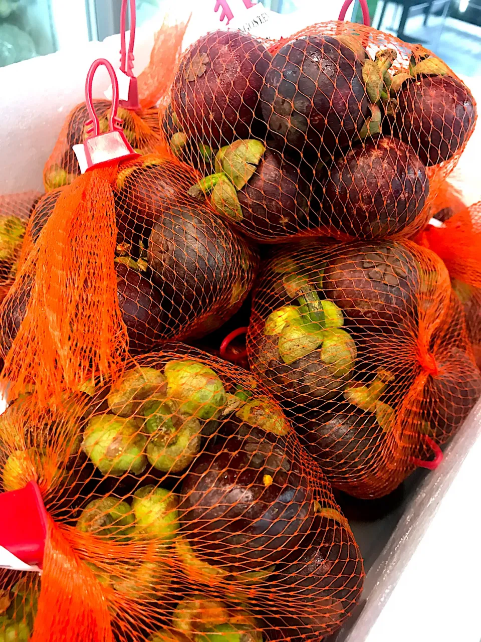 mangosteens|hweeyhさん