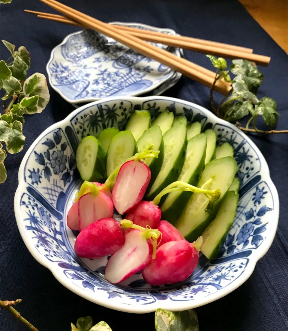 🥒我家の糠子さんはご機嫌上々🥒胡瓜とラディッシュがメチャ旨 ぬか漬け🥒🍚🥢|Hollyさん