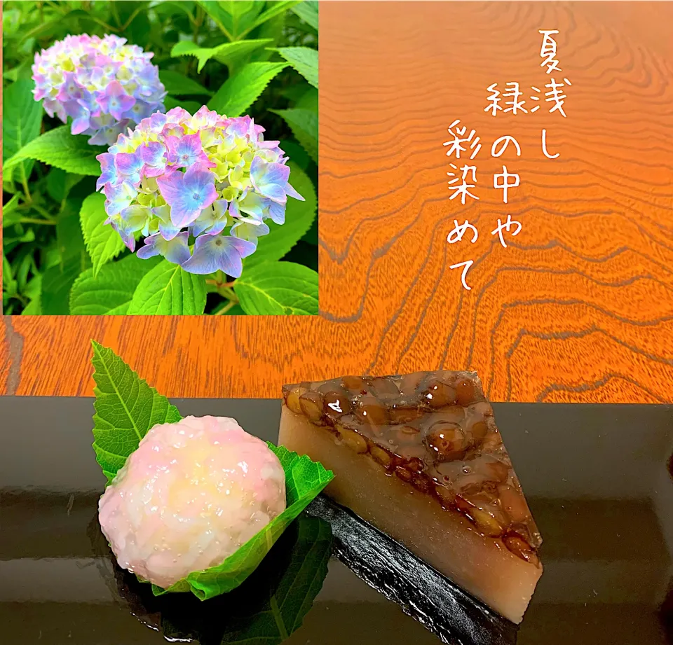 生菓子紫陽花、水無月|浦島太郎さん