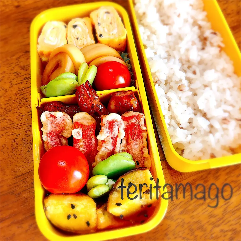 お弁当|teritamagoさん