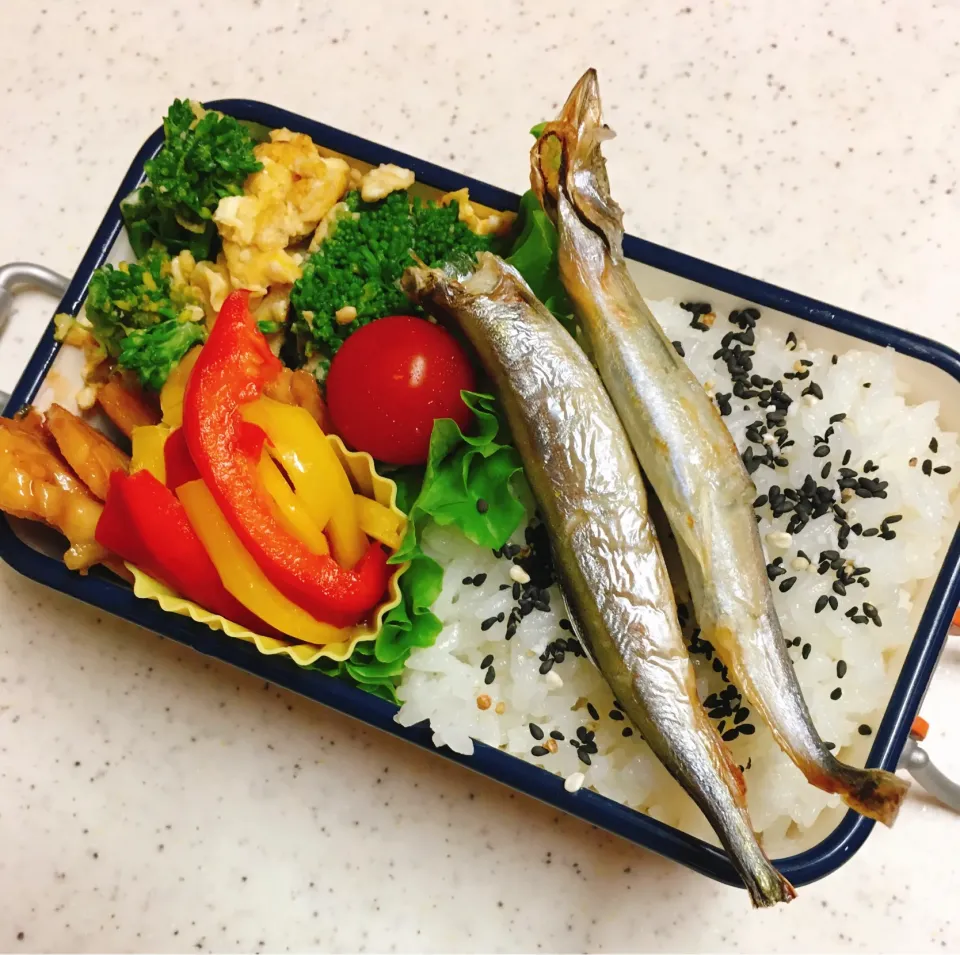 Snapdishの料理写真:今日のお仕事弁当♪2020.6.3|ぐぅさん