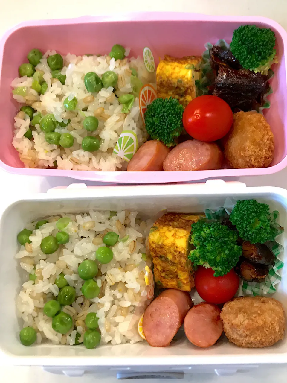 Snapdishの料理写真:たっぷりお豆の豆ごはん弁当😆☀️|Michiko Okamotoさん