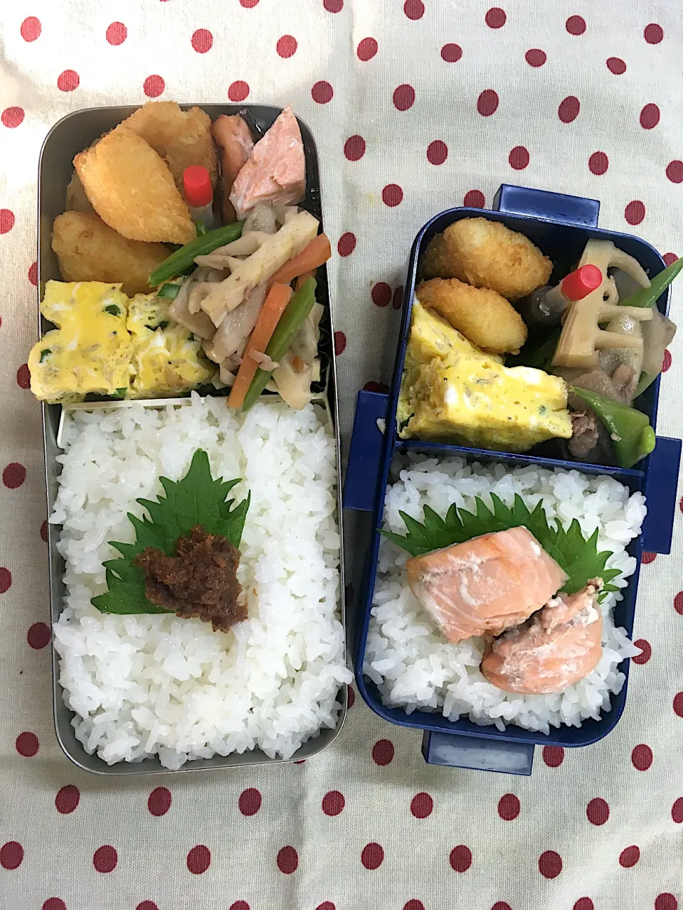 Snapdishの料理写真:6月3日　今日も暑いね弁当🍱|sakuramochiさん