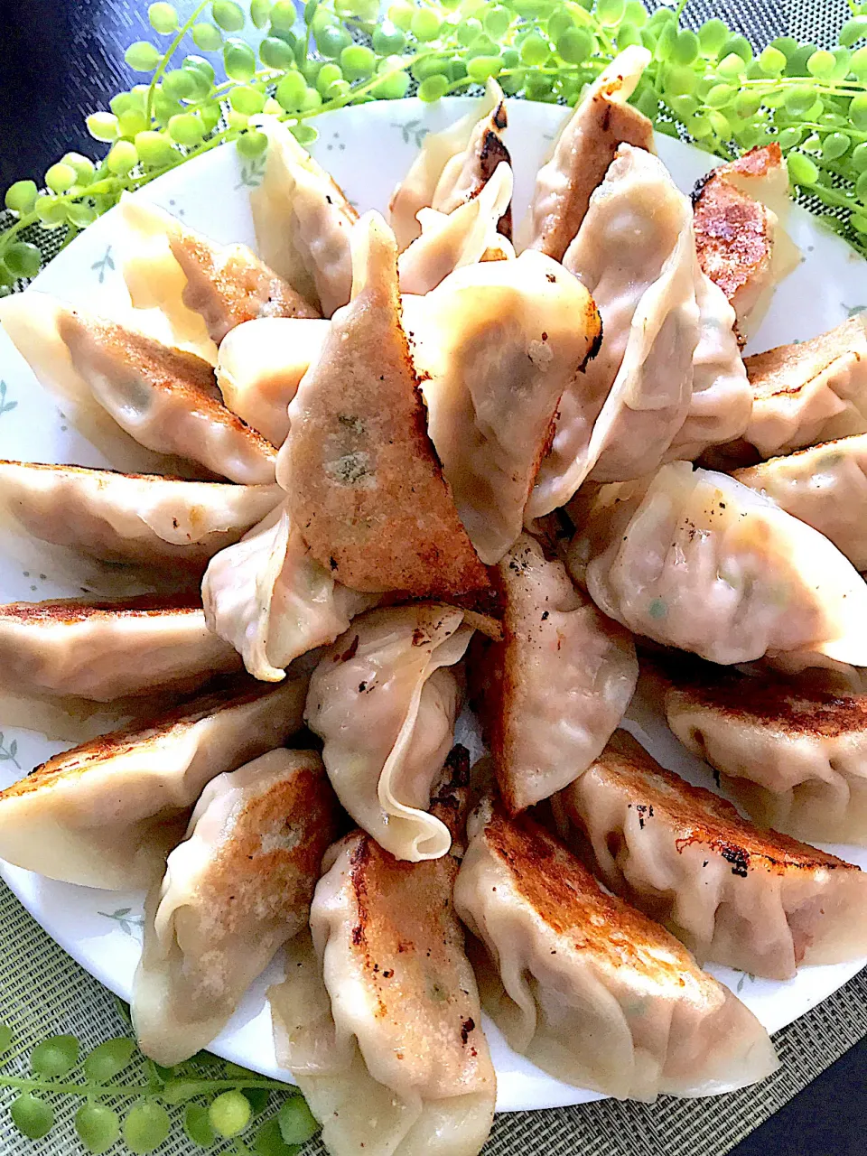 製麺所の餃子の皮で餃子、食べ放題💕💕💕|🌺🌺Foodie🌺🌺さん