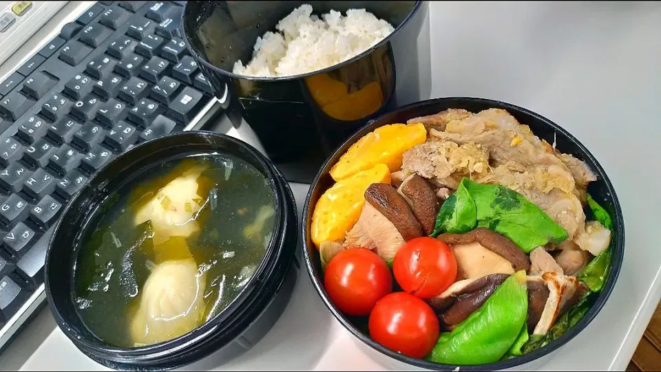 お弁当(2020/06/03)|ぱんだますたーさん