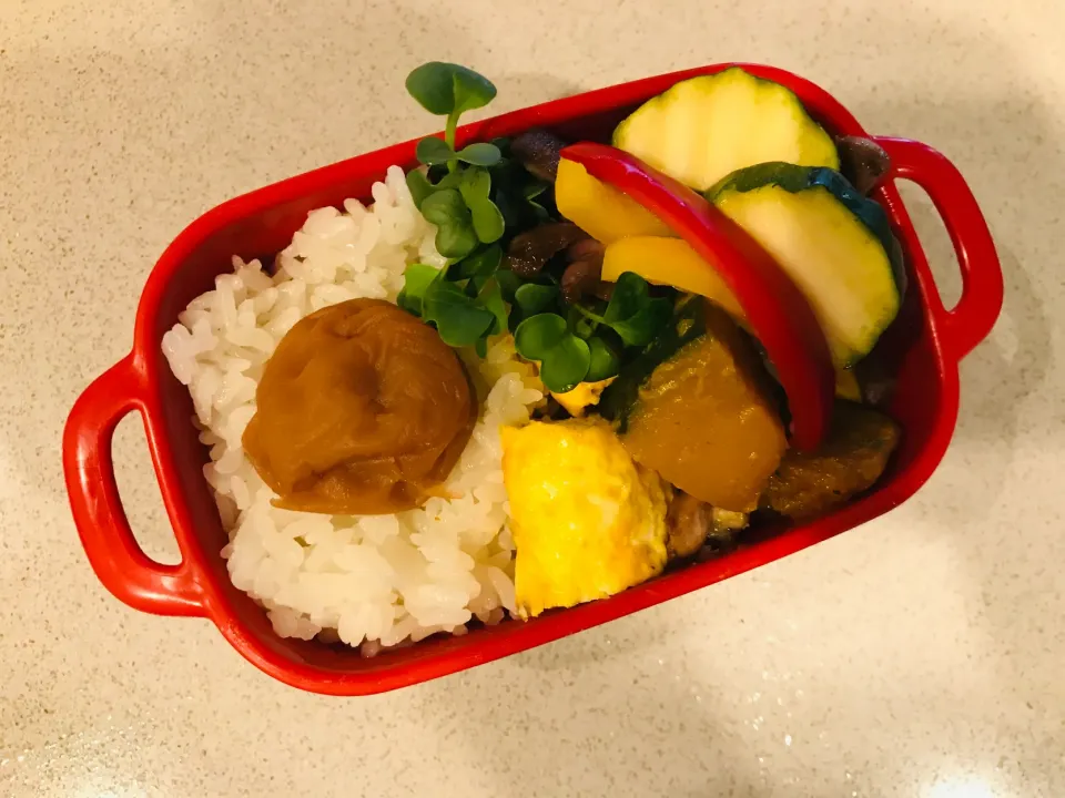 20200604🍱今日の自分弁当🍱|akiyo22さん