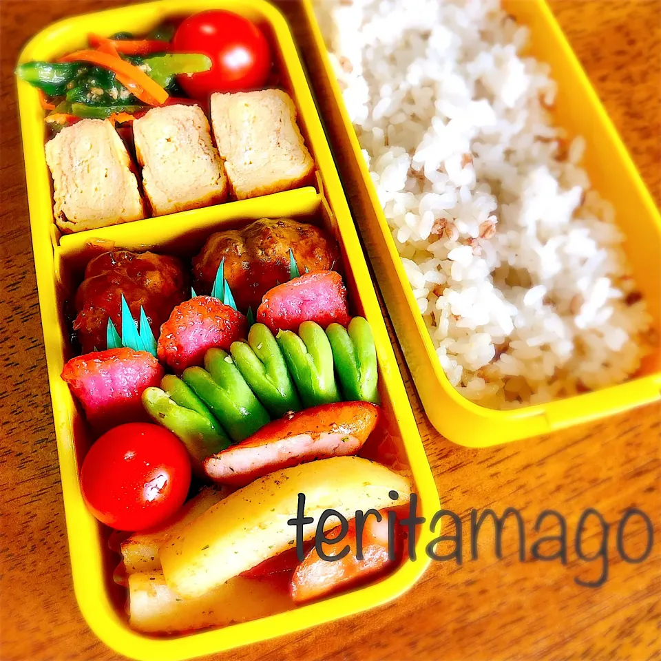 お弁当|teritamagoさん