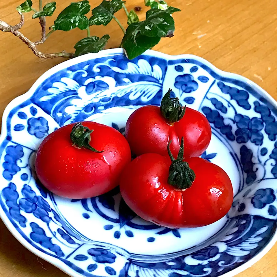 🍅洗っただけ⁉️じゃないよ❗️（笑）すっごく美味しい規格外フルティカトマトのぬか漬け🍅|Hollyさん