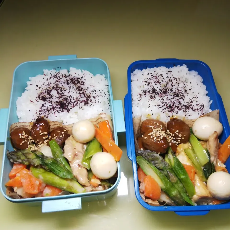 Snapdishの料理写真:6/5 母子弁当|けろよんさん