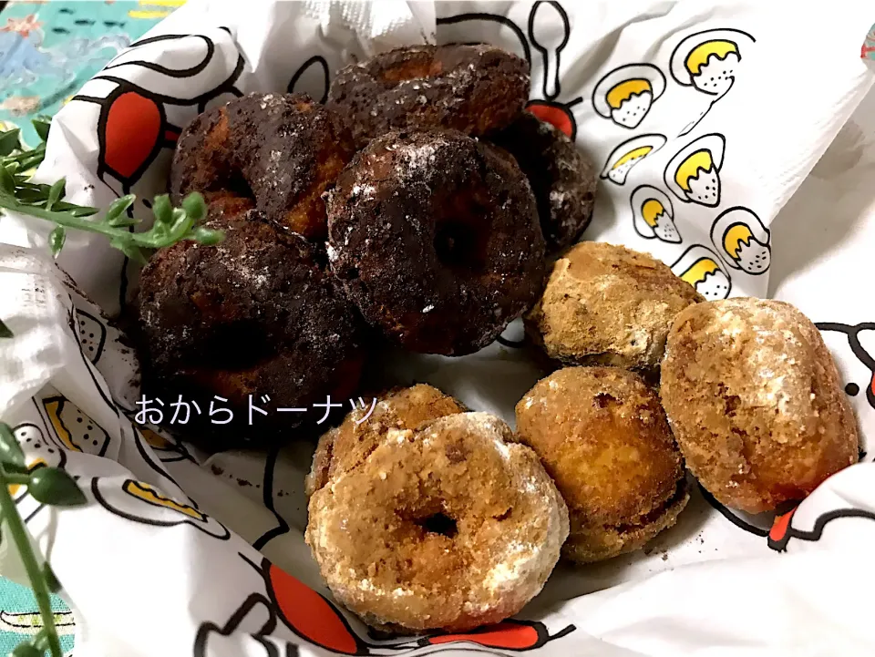 おからドーナツ🍩ココア味ときな粉味|noeさん