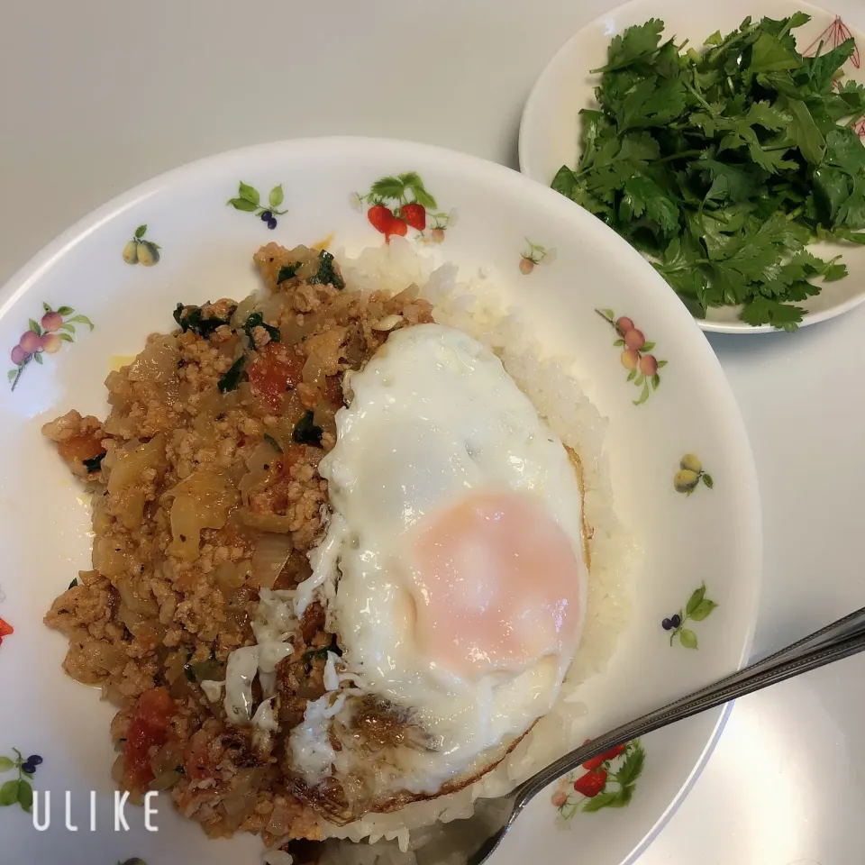 お昼ご飯|まめさん