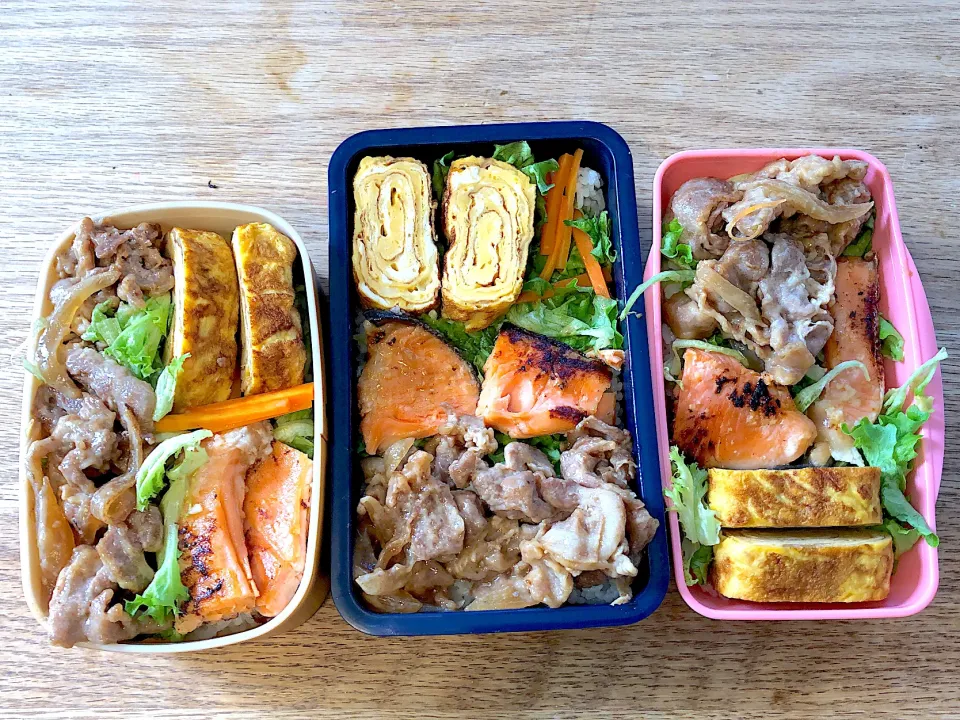 【57日目】パパと小学生が作るお弁当|パパのつくりおき弁当（つく弁）さん