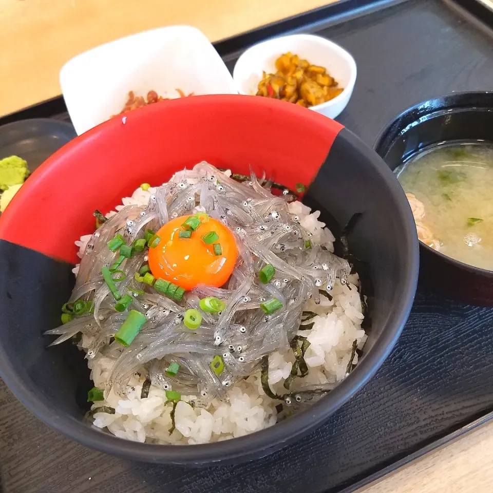 Snapdishの料理写真:生しらす丼定食|mochapさん