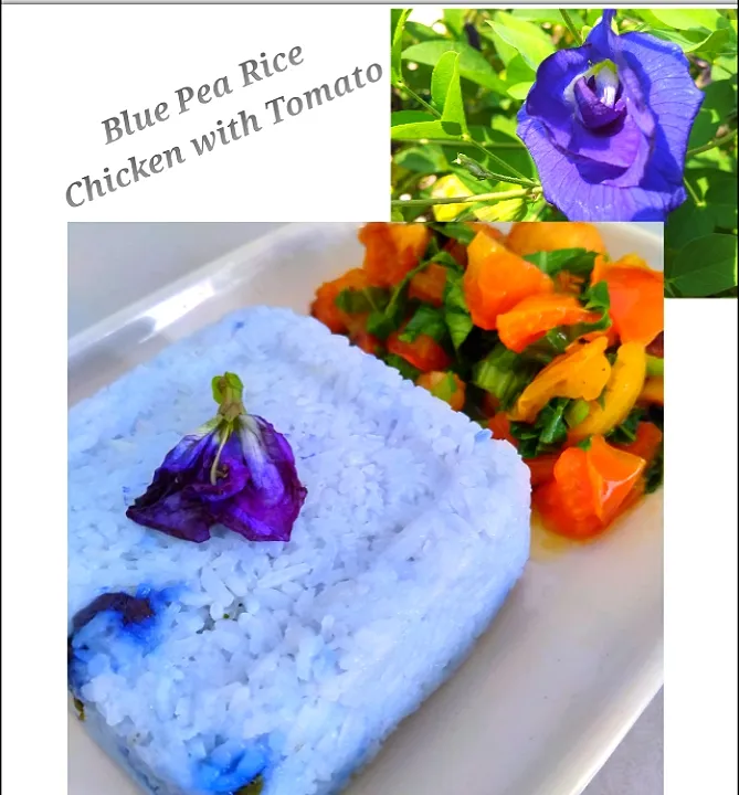 Blue Pea Rice & Chicken with Tomato|Harlina  (Malaysia)さん