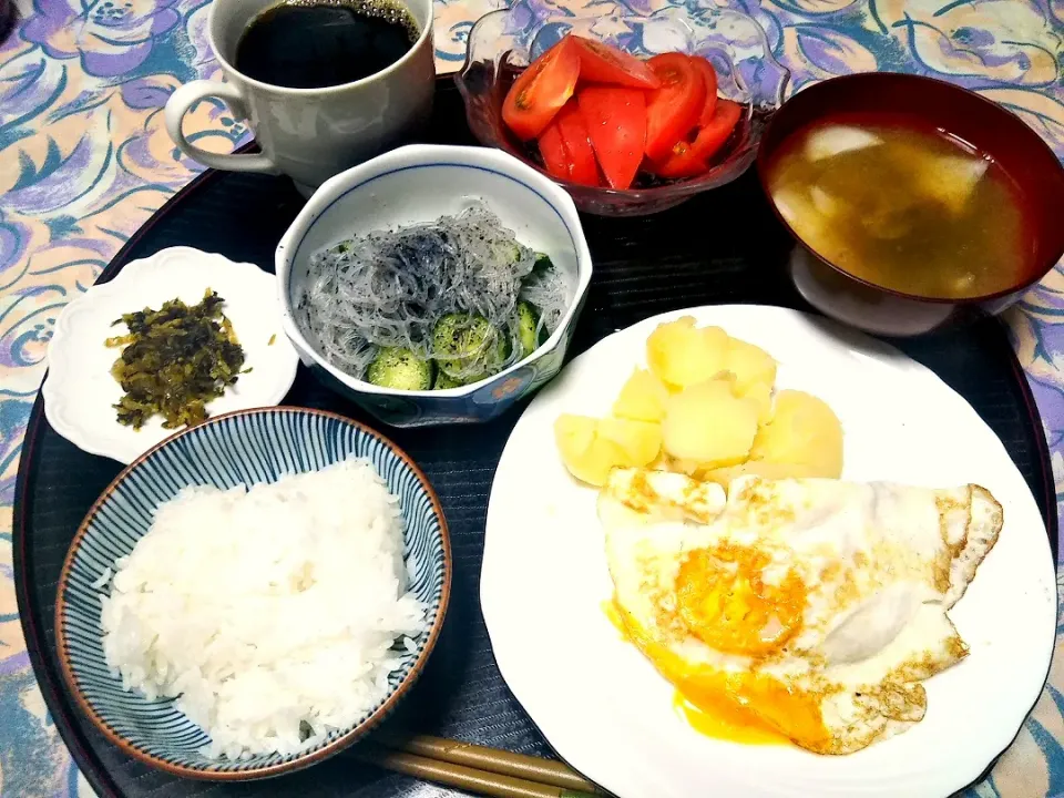 よねばーばの朝ごはん
目玉焼き、ポテト添え
きゅうりと春雨の酢の物
玉ねぎの味噌汁
トマト、ご飯、コーヒー、|yoneばーばさん