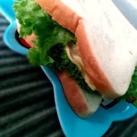 chicken sandwich with cheese and salad|Apieさん