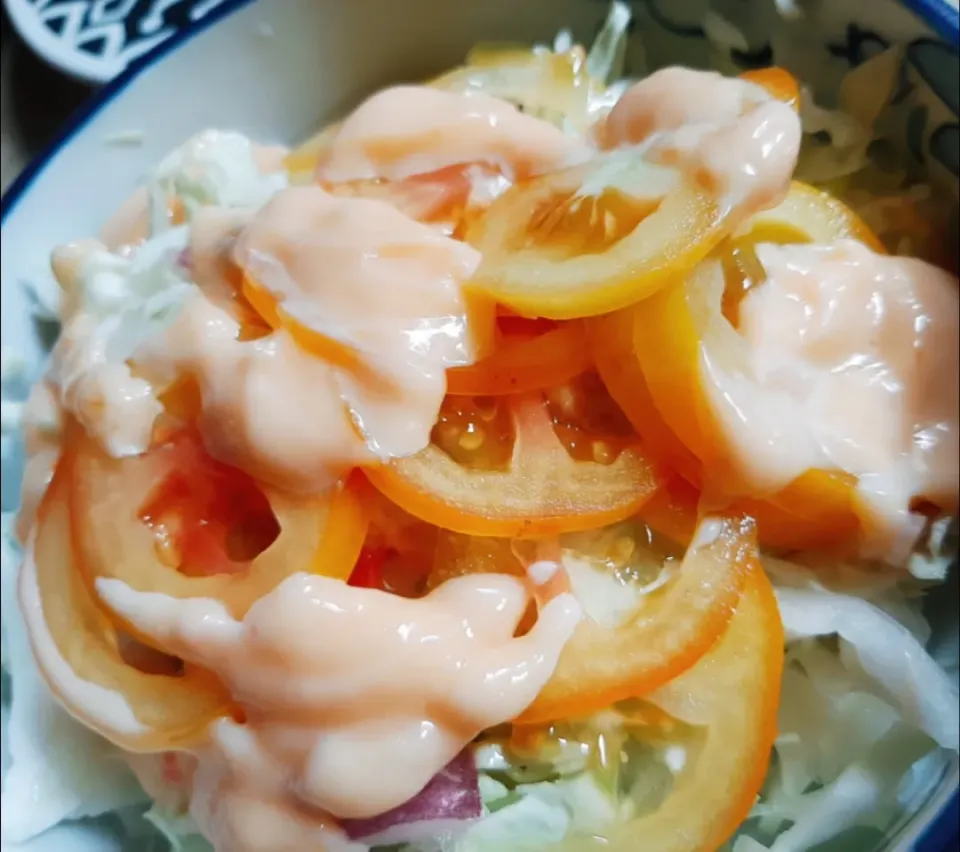 Vegetable cabbage salad|Shane Sheynさん