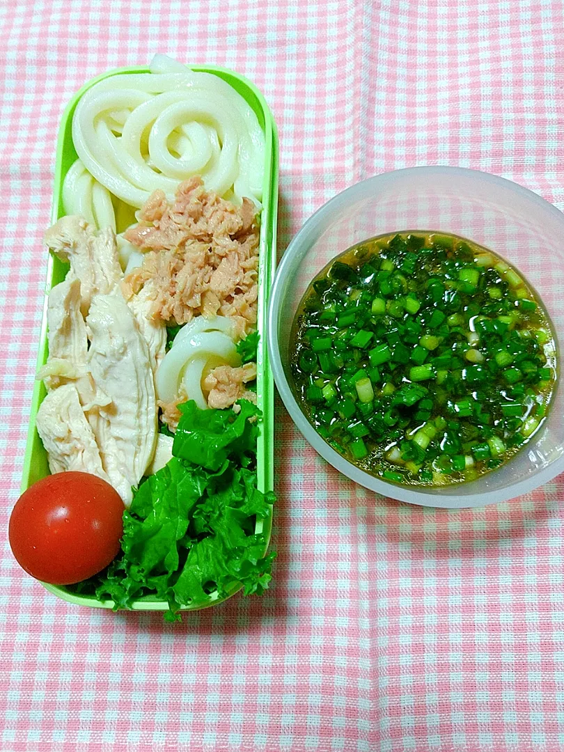 Snapdishの料理写真:つけ麺風サラダうどん弁当|ゆっきーさん