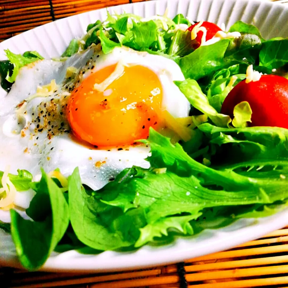 A plete full of  salad😋😋🥰ლ(・﹏・ლ)|ペンギンさん