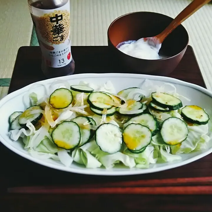 Snapdishの料理写真:調整夕飯|omotoさん