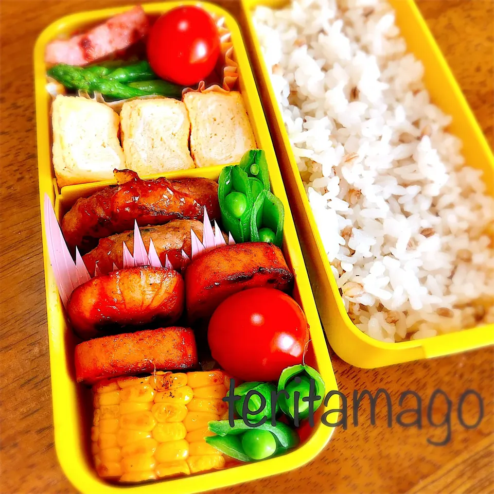 お弁当|teritamagoさん