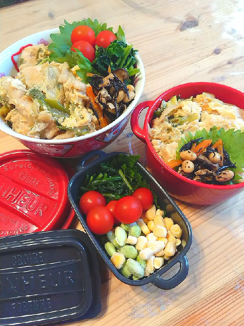 2020.6.10 置き丼🍚&自分弁当🍱|あずきラテさん