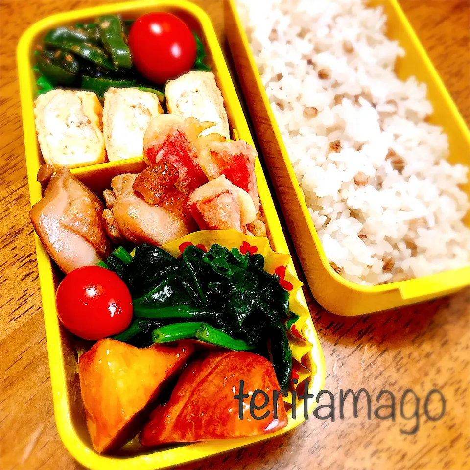 お弁当|teritamagoさん