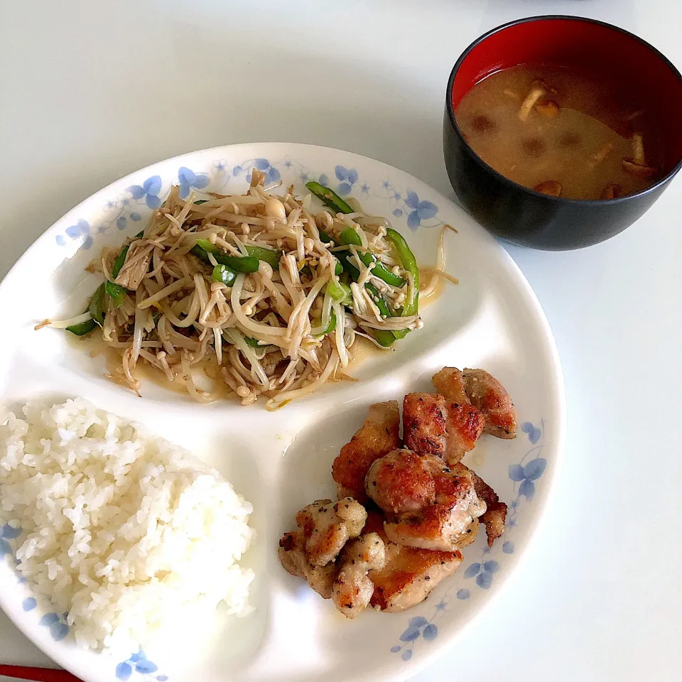 昼ご飯|まめさん