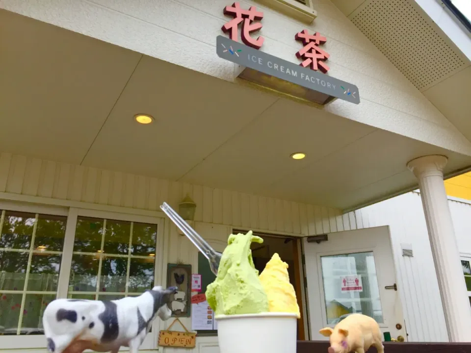 北海道千歳市
ICE CREAM FACTORY 
花茶|🌻ako ·͜·♡peco🌻さん