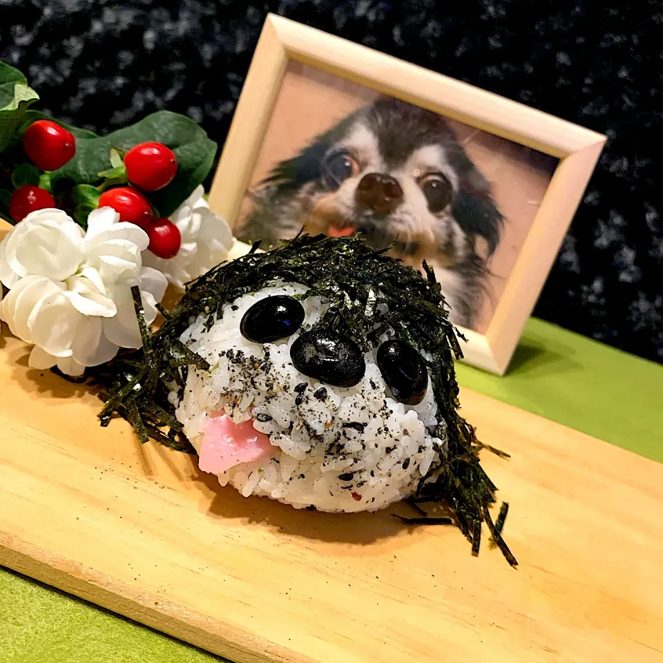 Snapdishの料理写真:ワンちゃんおにぎり🍙|みっこちゃんさん