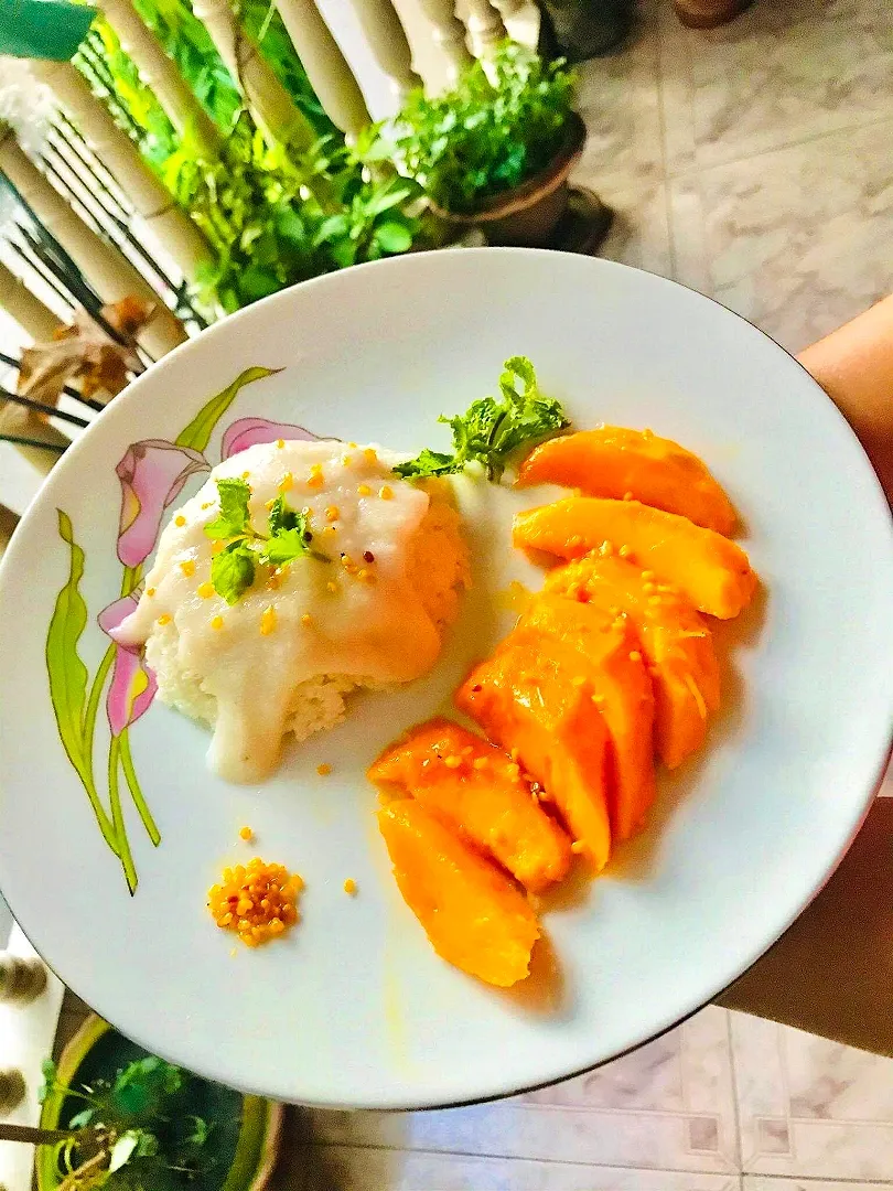 Sabusquare's dish Mango Sticky rice|Sabrina R.さん