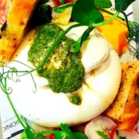 Snapdishの料理写真:Burrata, radish & orange ceviche|The Bionic Chef 🔪さん