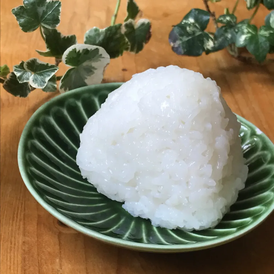 🍙結局やっぱり塩むすびが1番好きだー❣️🍙米は最近のお気に入り「北海道米 ゆきさやか」🍙|Hollyさん