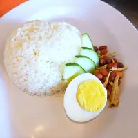 nasi lemak biasa|shafiqさん