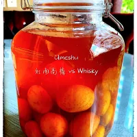 Snapdishの料理写真:“Umeshu”|prisciさん