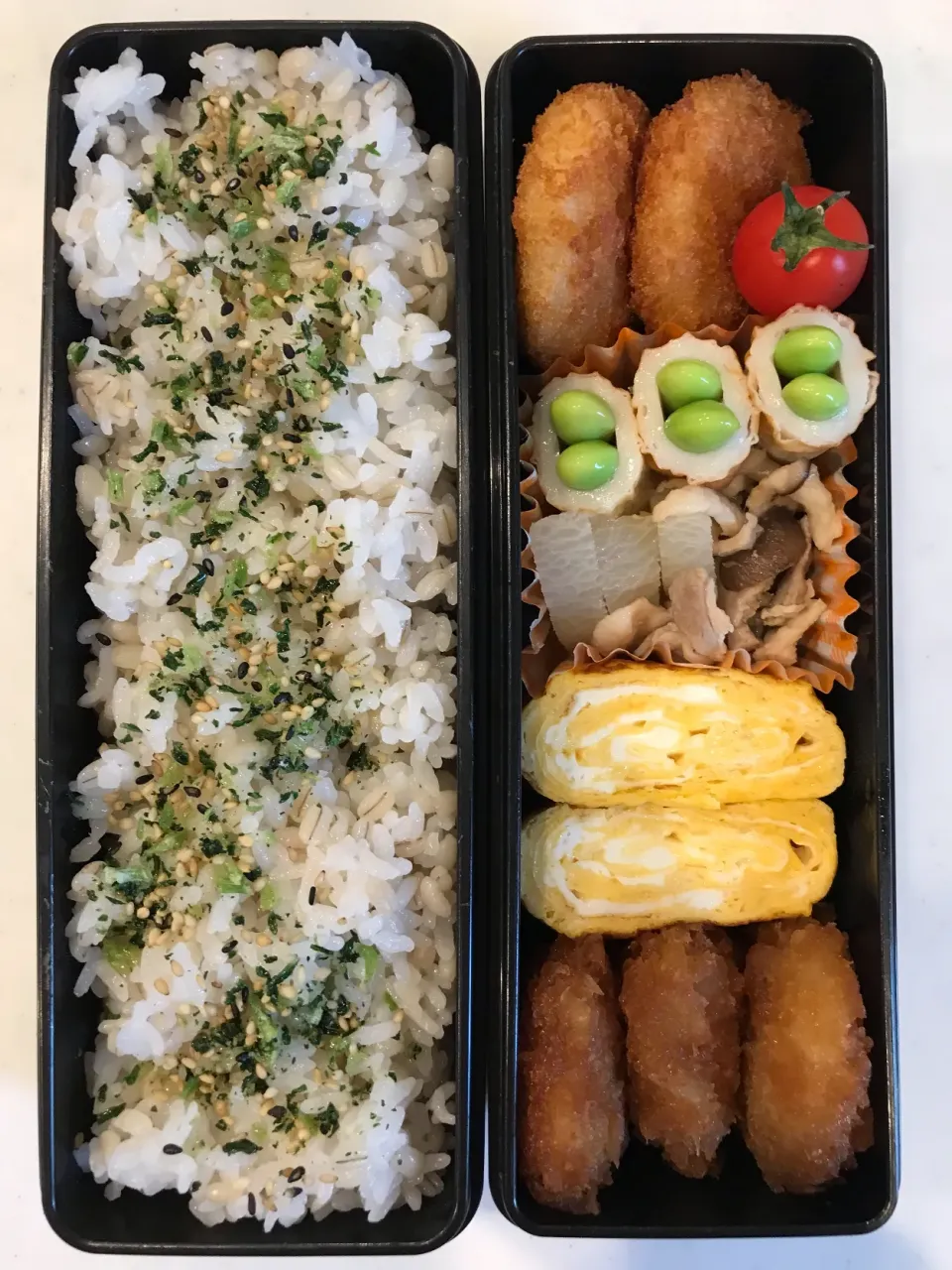 2020.6.13 (土) パパのお弁当🍱|あっきーよさん