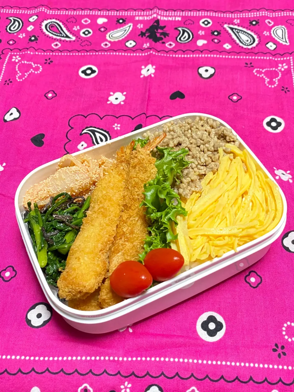 Snapdishの料理写真:息子のお弁当(強制～冷蔵庫にあるもので✌️😅)|かあたんさん