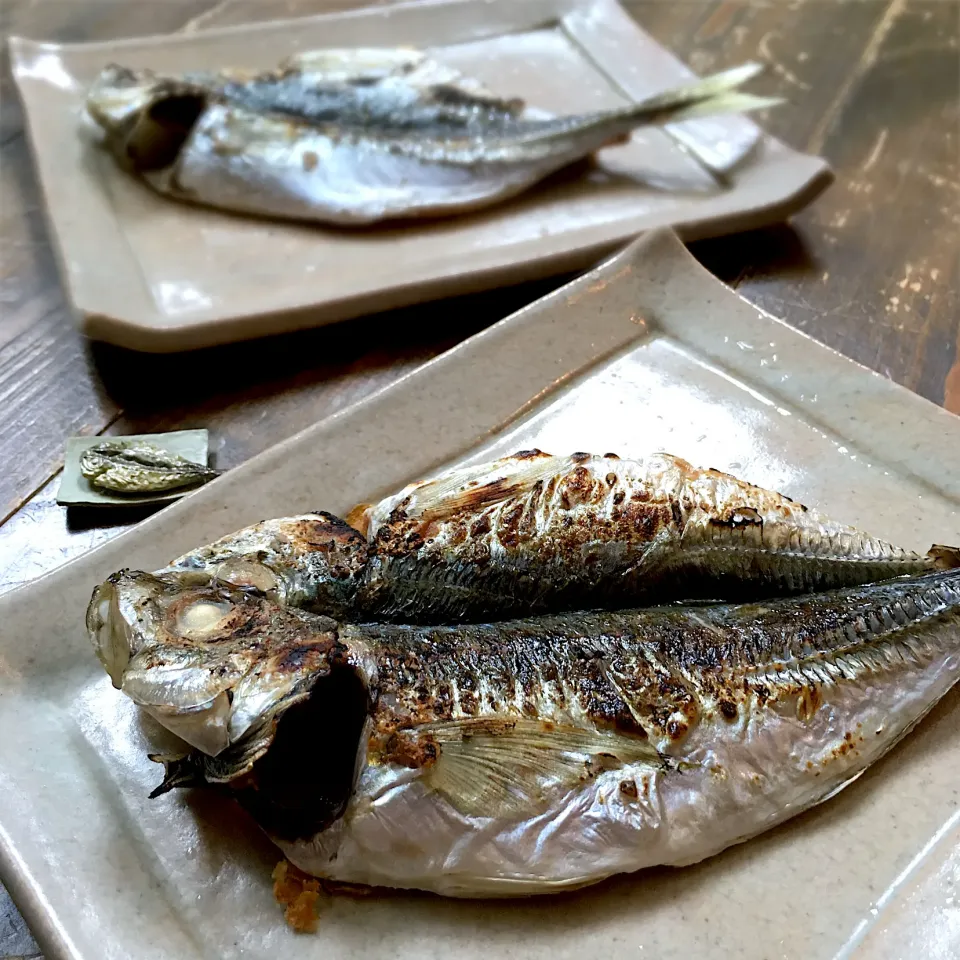 Snapdishの料理写真:鯵の干物🐟🍚🥢🇯🇵|七海さん